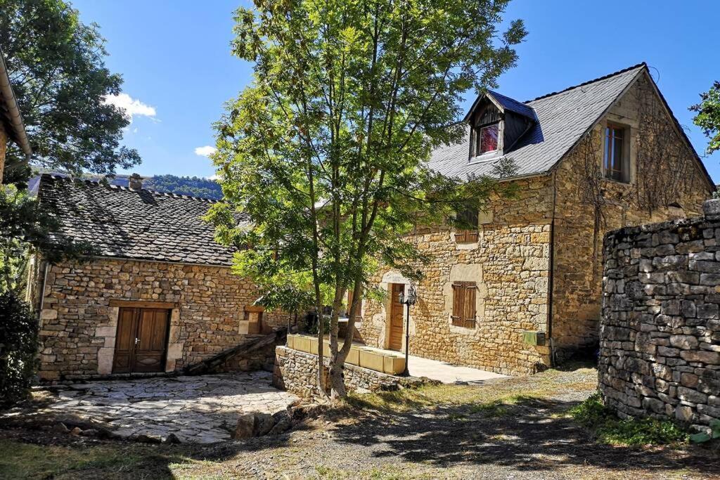 Maison Traditionnelle En Lozere Saint-Saturnin  Zewnętrze zdjęcie